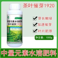 茶葉專用葉面肥 催芽劑 茶樹催芽素生長素崔芽劑壯芽素非復合肥料